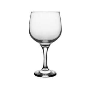AQUA - GIN & TONIC - 65CL (24)