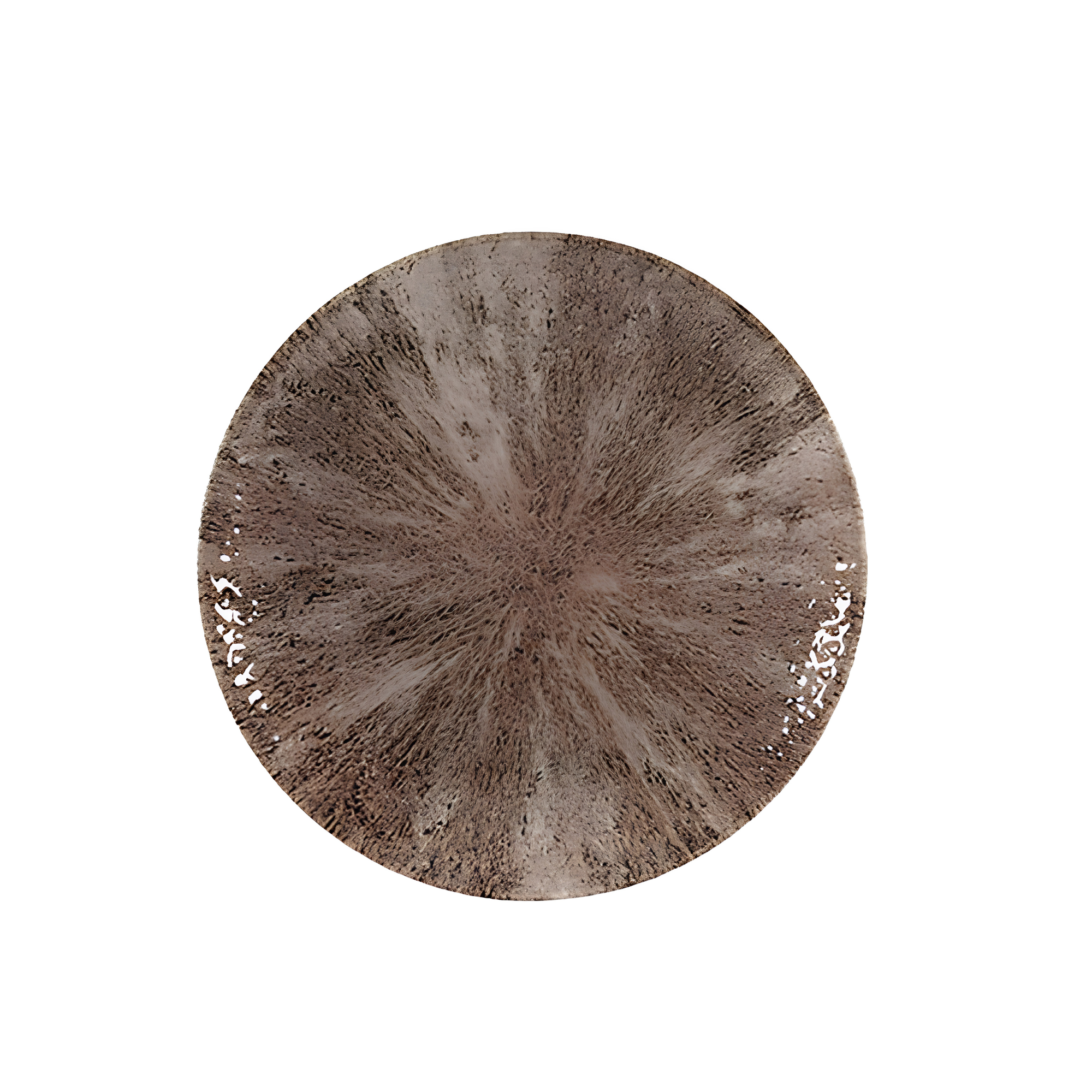 STONE – ZIRCON BROWN – COUPE PLATE – 26CM (12)